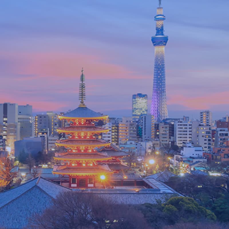Skytree and surrounding city buildings