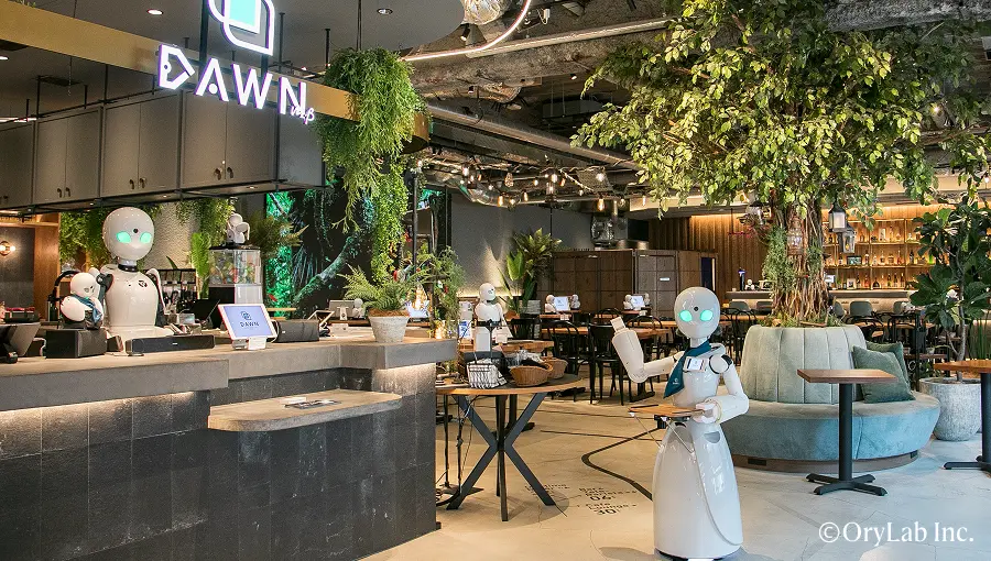 Service robots operating in a Avatar Robot Cafe.